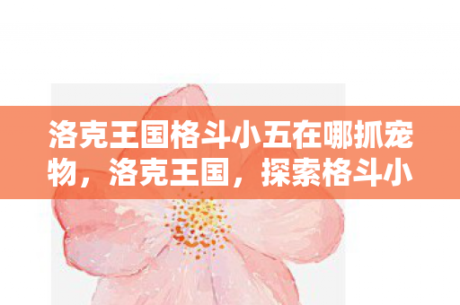 洛克王国格斗小五在哪抓宠物图片