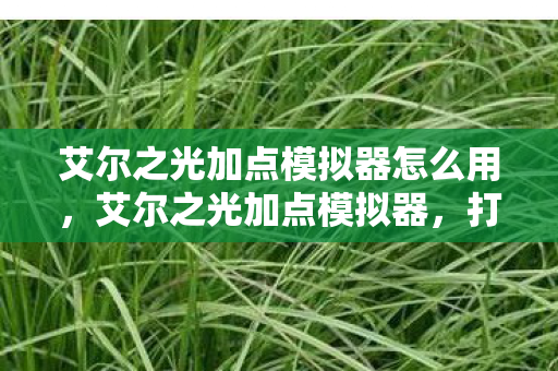 艾尔之光加点模拟器怎么用图片