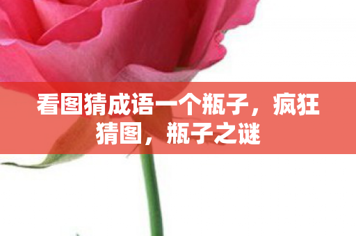 看图猜成语一个瓶子图片