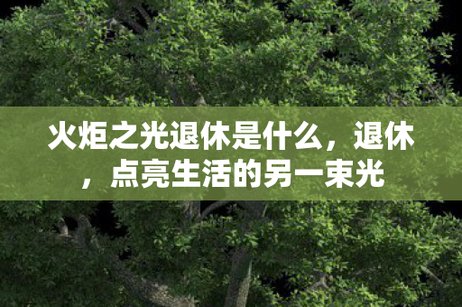 火炬之光退休是什么图片