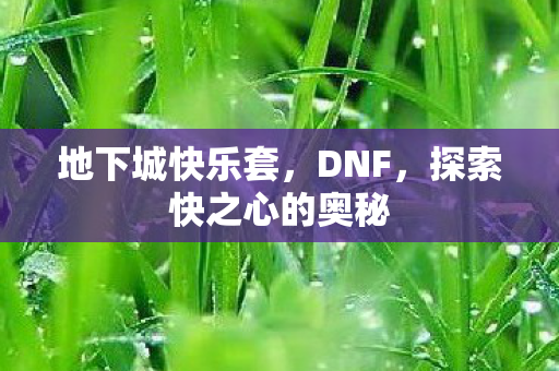 探索快之心的奥秘图片