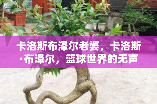 卡洛斯布泽尔老婆，卡洛斯·布泽尔，篮球世界的无声力量