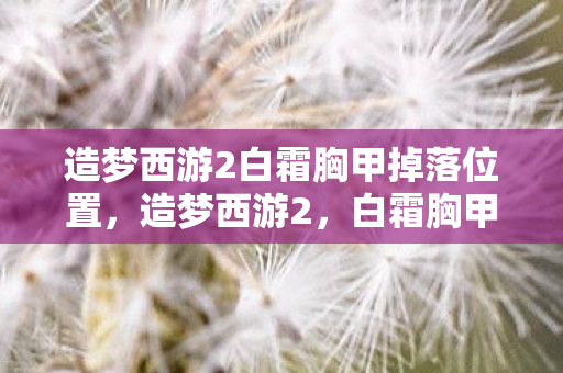 造梦西游2白霜胸甲掉落位置图片