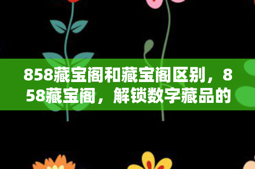 858藏宝阁和藏宝阁区别图片