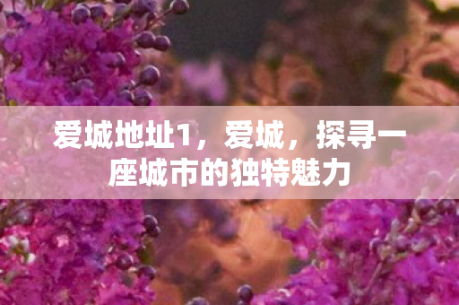 探寻一座城市的独特魅力图片