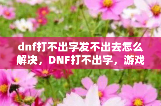 dnf打不出字发不出去怎么解决图片