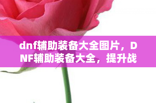dnf辅助装备大全图片图片