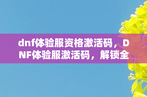 dnf体验服资格激活码图片