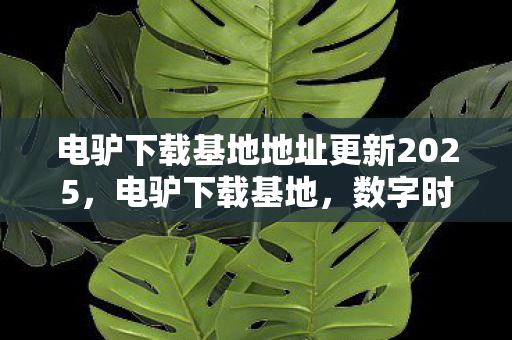 电驴下载基地地址更新2025图片