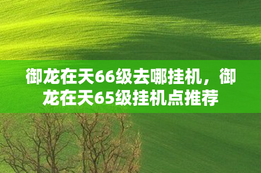 御龙在天65级挂机点推荐图片