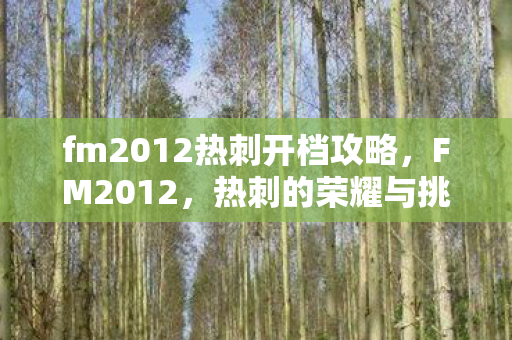 fm2012热刺开档攻略图片