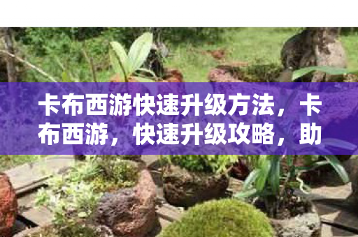 卡布西游快速升级方法图片