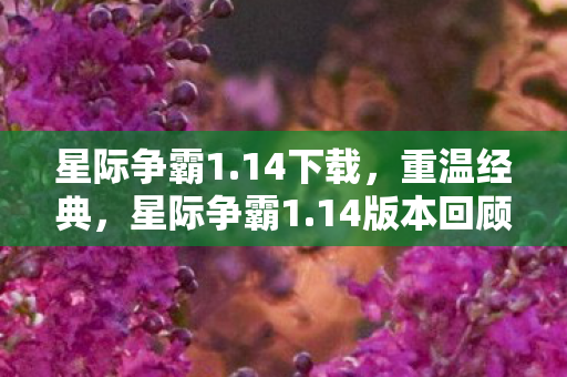 14版本回顾与解析图片