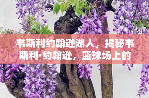 韦斯利约翰逊湖人，揭秘韦斯利·约翰逊，篮球场上的多面手