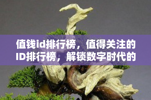 值钱id排行榜，值得关注的ID排行榜，解锁数字时代的个性标签