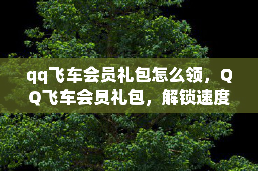 qq飞车会员礼包怎么领图片