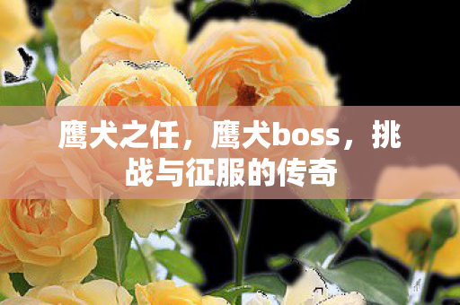 挑战与征服的传奇图片