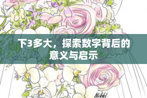 下3多大，探索数字背后的意义与启示