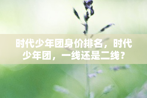 时代少年团身价排名图片