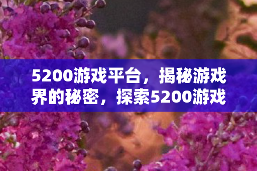5200游戏平台，揭秘游戏界的秘密，探索5200游戏背后的故事