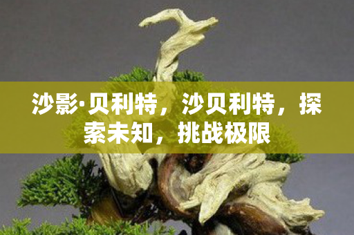 沙影·贝利特，沙贝利特，探索未知，挑战极限