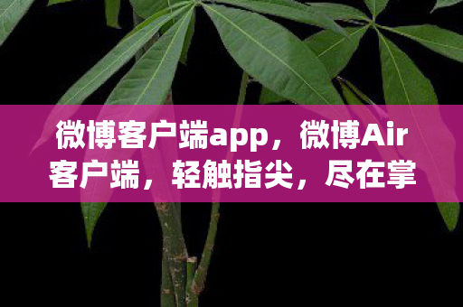 微博客户端app，微博Air客户端，轻触指尖，尽在掌握