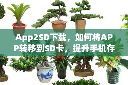 App2SD下载，如何将APP转移到SD卡，提升手机存储空间的实用技巧