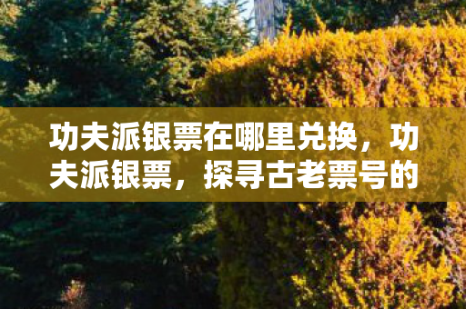 功夫派银票在哪里兑换，功夫派银票，探寻古老票号的传奇故事