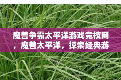 魔兽争霸太平洋游戏竞技网图片