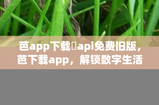 芭app下载汅api免费旧版图片