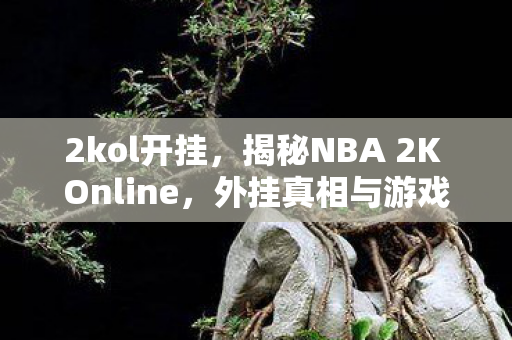 2kol开挂，揭秘NBA 2K Online，外挂真相与游戏生态的反思