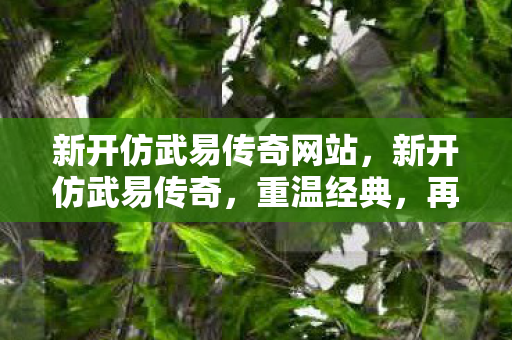 新开仿武易传奇网站图片