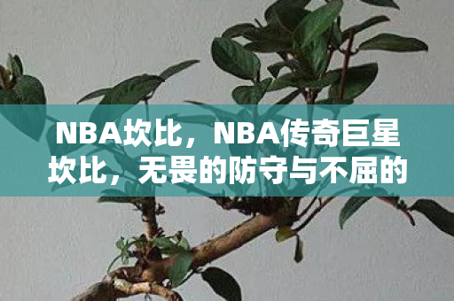 NBA坎比，NBA传奇巨星坎比，无畏的防守与不屈的精神