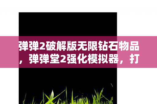 弹弹2破解版无限钻石物品图片