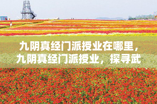 九阴真经门派授业在哪里图片