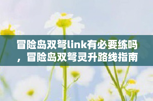 冒险岛双弩link有必要练吗图片