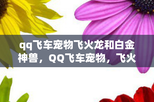 qq飞车宠物飞火龙和白金神兽图片