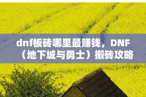 dnf板砖哪里最赚钱图片