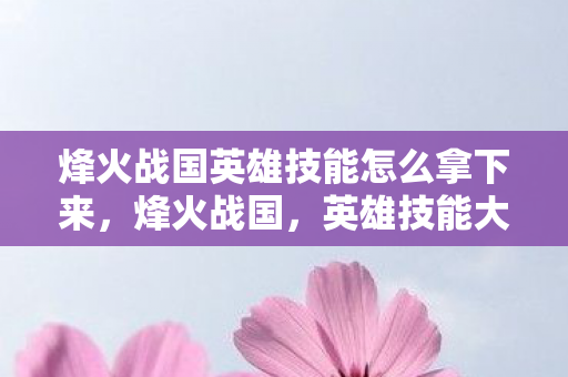 烽火战国英雄技能怎么拿下来图片