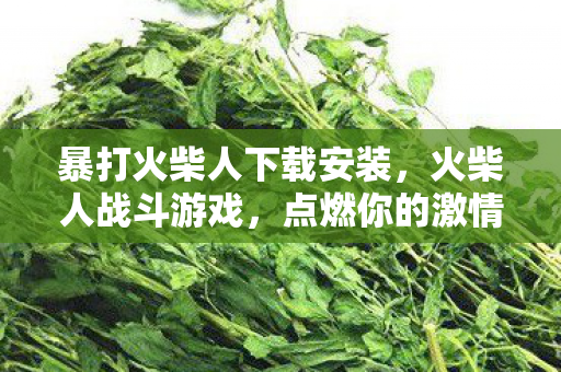 暴打火柴人下载安装图片