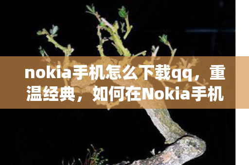 如何在Nokia手机上下载QQ图片