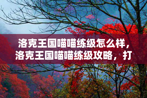 洛克王国喵喵练级怎么样图片