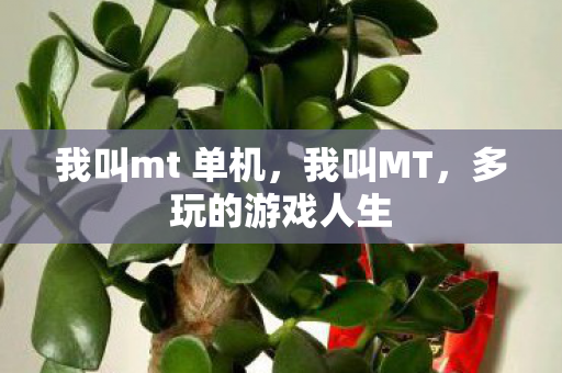我叫mt 单机图片