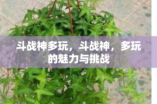 多玩的魅力与挑战图片