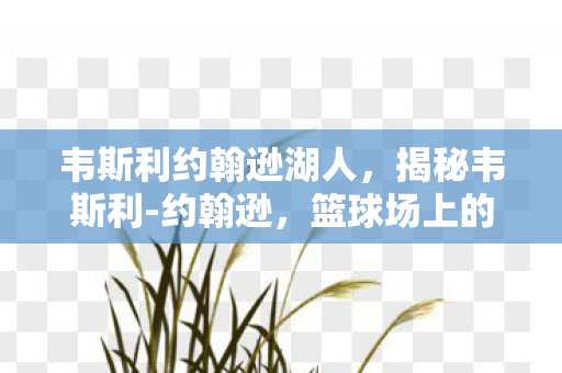 韦斯利约翰逊湖人，揭秘韦斯利-约翰逊，篮球场上的耀眼新星