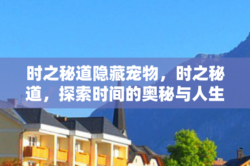 探索时间的奥秘与人生的意义图片