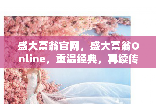 盛大富翁Online图片