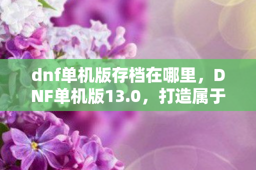 dnf单机版存档在哪里图片