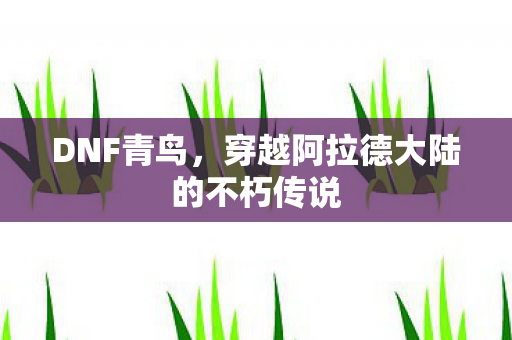 穿越阿拉德大陆的不朽传说图片