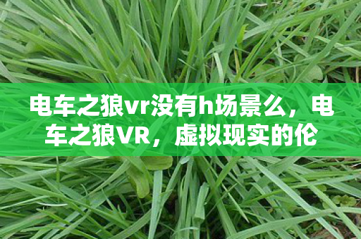 电车之狼vr没有h场景么图片